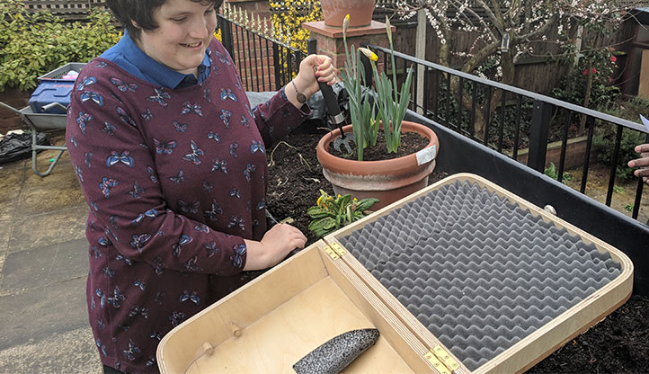 Daisy opens garden box