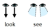 Look and See - New symbols