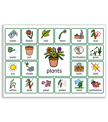 Plants Pre Teaching Vocab