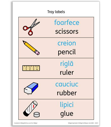 Widgit Symbols on Tray Labels in Dual Language 1
