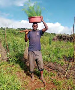 Widgit trees planting in Malawi
