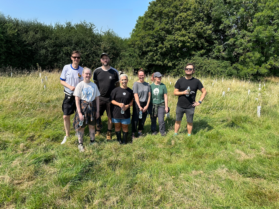 Widgit planting trees