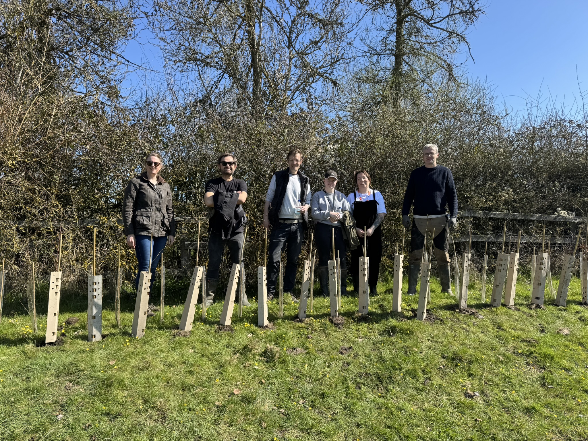Widgit planting trees
