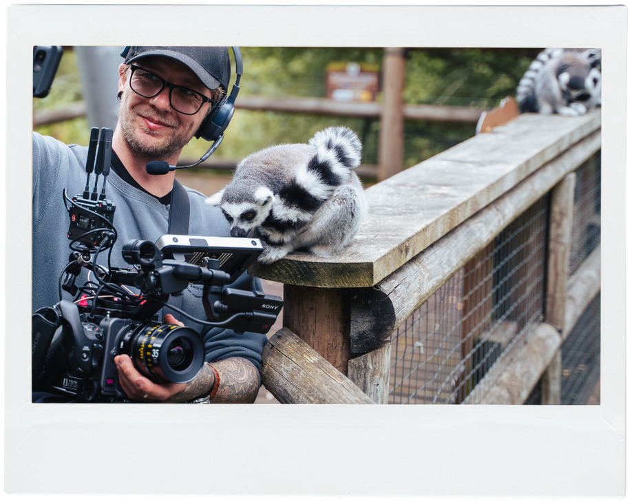 Curious lemur checking out filming equipment