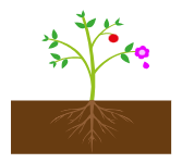 Growing Plants icon