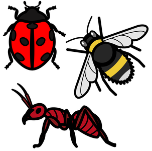 Minibeasts Pack icon