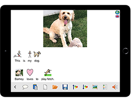 Widgit Writer