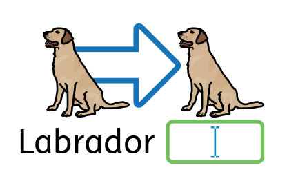 Re text Widgit Symbols