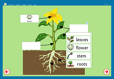 Clicker from Crick Software