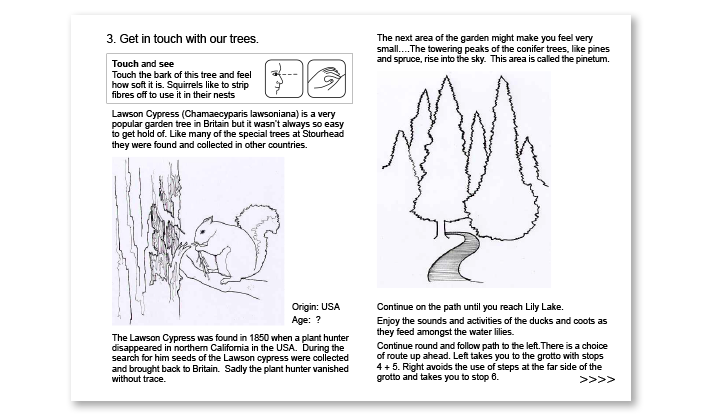 Touch and see trees