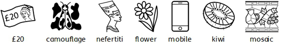 examples of black and white