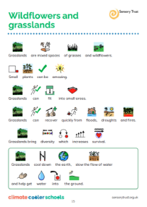 Wallflowers and Grasslands guide – Widgit Symbols