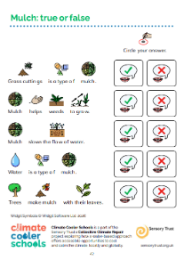 – Widgit Symbols