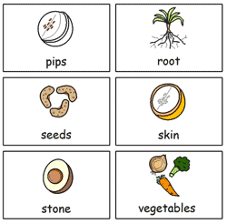 Symbol Word Cards