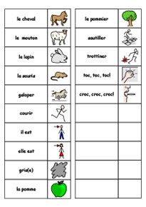 Vocabulary