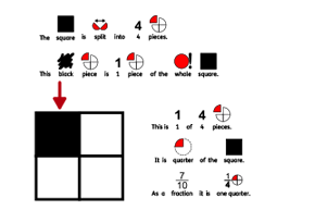 Fraction info