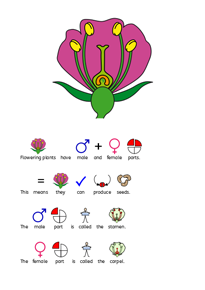Flower symbol book