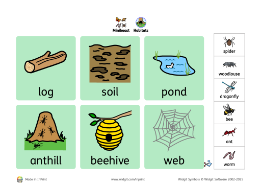 Minibeasts habitats sorting