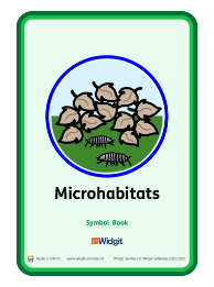 Minibeasts book cover