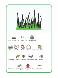 Minibeasts book page