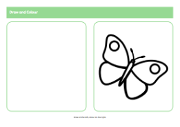 Minibeasts draw and colour activity