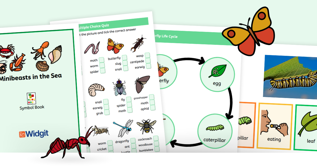 Minibeasts Pack Banner