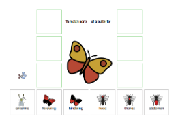 Minibeasts labelling activity