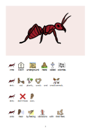 Minibeasts symbol book page