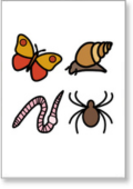 Minibeasts Pack Thumbnail