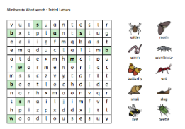 Minibeasts wordsearch