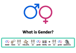 What is gender teaching resource