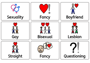 Gender and Sexuality Flashcards 2