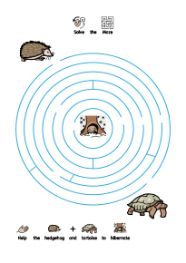 Summer Maze Activity