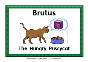 Brutus The Cat