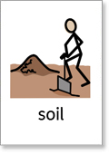 Rocks and Soils