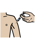 Immunisation 