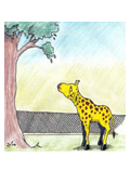 The Short Necked Giraffe