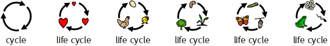 Life Cycle - New symbols