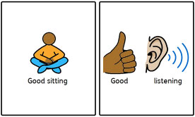 Rules and Behaviour